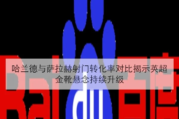 哈兰德与萨拉赫射门转化率对比揭示英超金靴悬念持续升级